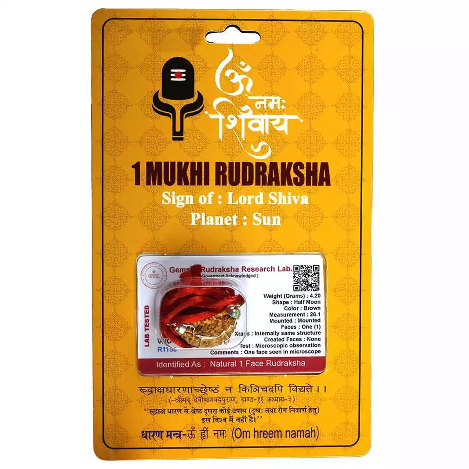 1 mukhi rudraksha price