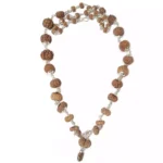 1 to 21 Mukhi Rudraksha Mala