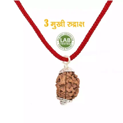 3 Mukhi Rudraksha