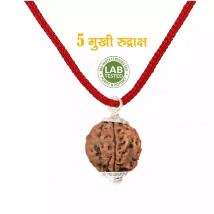 Super Heavy 10 Mukhi Nepali Gauri Shankar Rudraksha from Nepali , Shiv Parvati 30 mm IGL Certified 100% Original Genuine Bead, outlet Super Quality