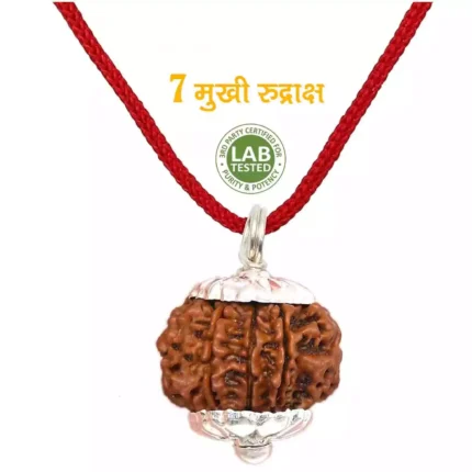 7 Mukhi Rudraksha