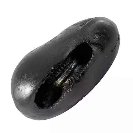 Laxmi Narayan Shaligram