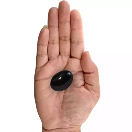 Shaligram Shila