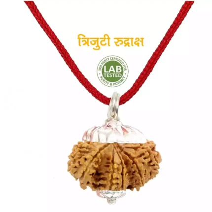 Trijuti Rudraksha