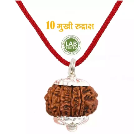 10 Mukhi Rudraksha