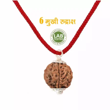 6 Mukhi Rudraksha