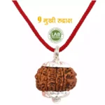 9 Mukhi Rudraksha