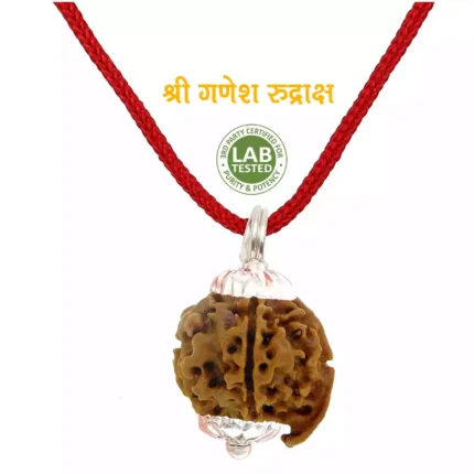 Ganesh Rudraksha