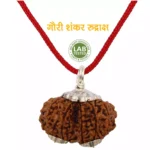 Gauri Shankar Rudraksha