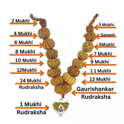 1-to-14-Mukhi-Rudraksha-Mala-Nepali