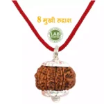 8 Mukhi Nepali Rudraksha