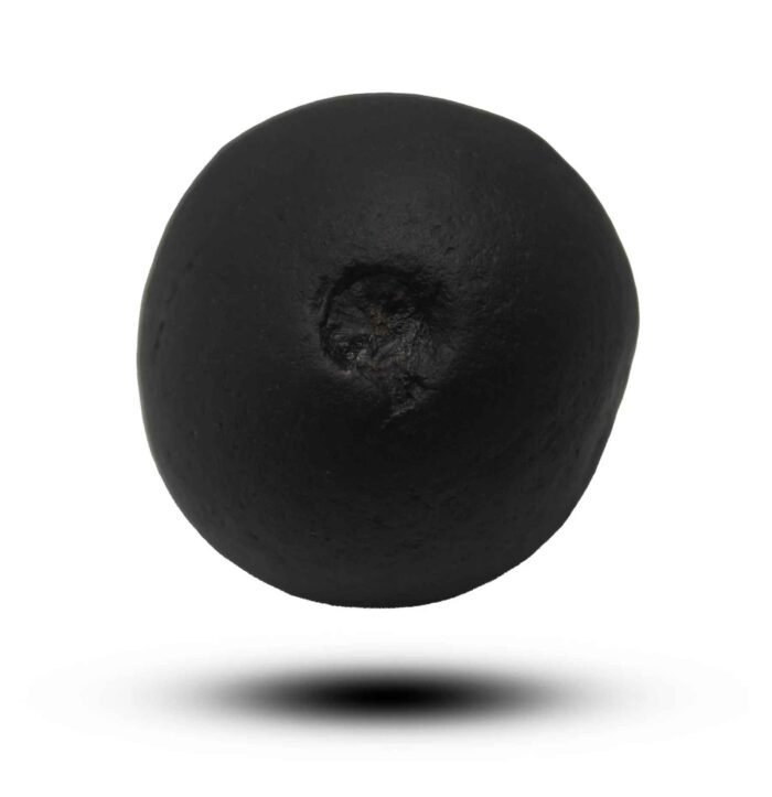 Hiranyagarbha Shaligram