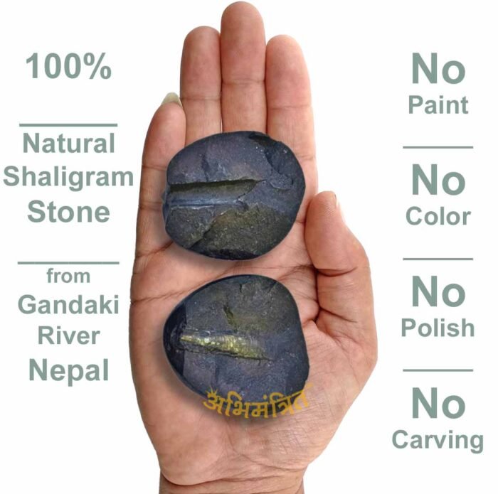 Shiva Shaligram Hand 3 inch