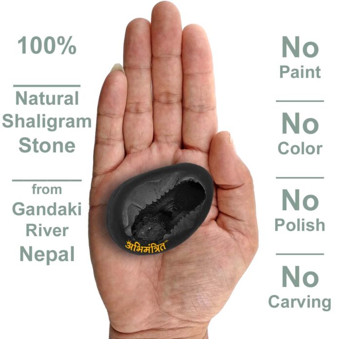 Vasudev Shaligram